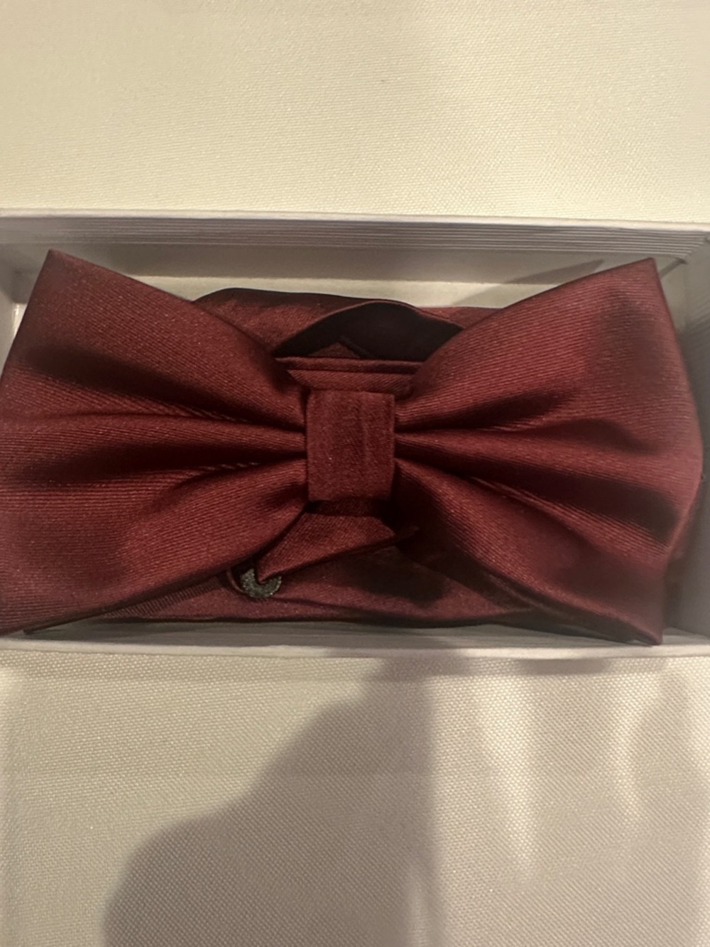 Wedding Party! Satin Bow Ties, with matching hankies.